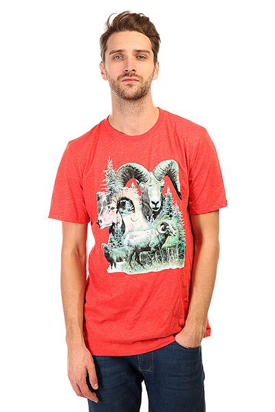

Футболка Etnies Wild Out Tee Red/Heath