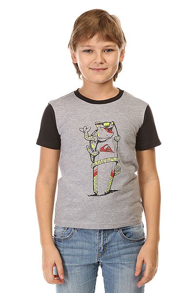 фото Футболка детская Quiksilver Color Tee Boyca Tees Athletic Heather/Tar