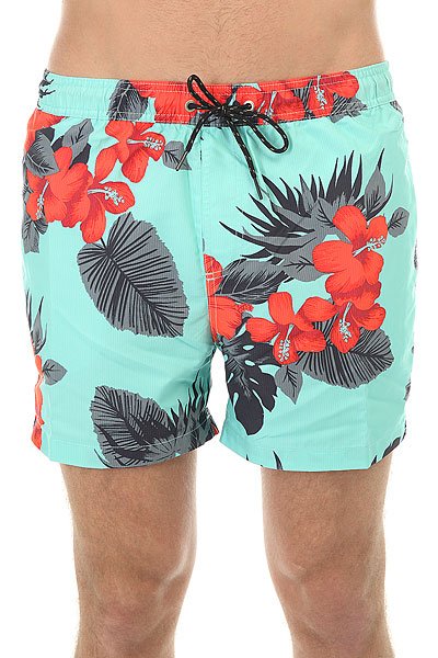 фото Шорты пляжные Quiksilver Havanavl15 Havana Aruba Blue