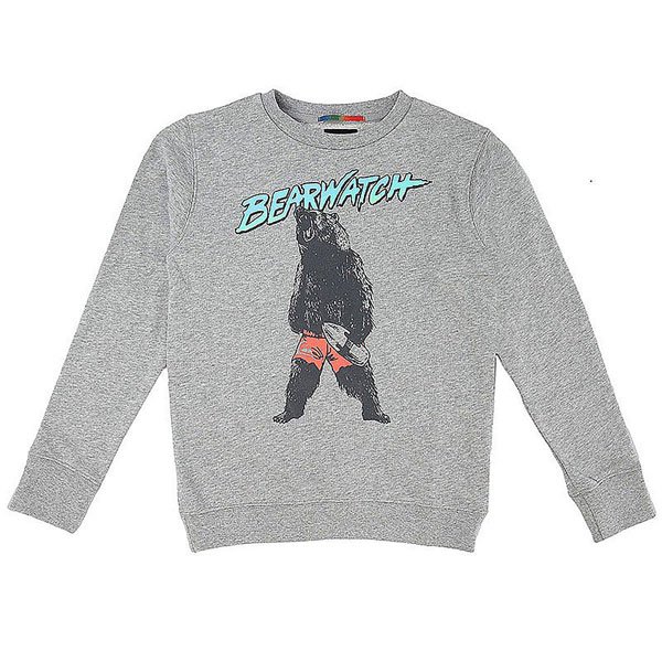 фото Толстовка классическая детская Quiksilver Crew Bear Grey