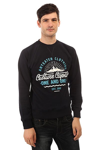 фото Толстовка свитшот Anteater Crewneck Capital Navy