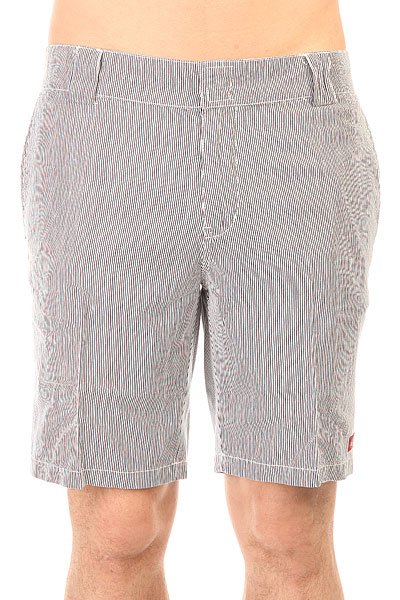 фото Шорты классические Dickies С 182 Shorts Stripe Navy/White