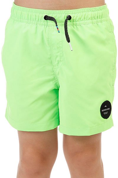 

Шорты пляжные детские Quiksilver Everydaysolvy13 Green Gecko