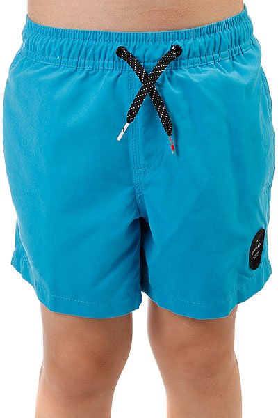 фото Шорты пляжные детские Quiksilver Everydaysolvy13 Blue Danube