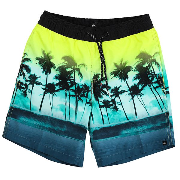 фото Шорты пляжные детские Quiksilver Wavesvlyouth15 Viridian Green