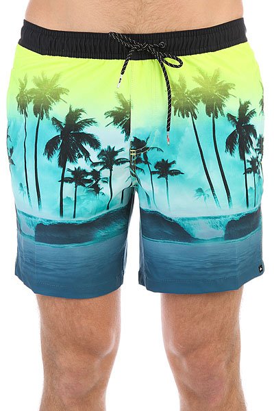 фото Шорты пляжные Quiksilver Wavesvolley17 Viridian Green