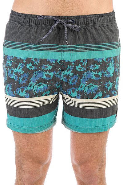 фото Шорты пляжные Quiksilver Swemmvisvo15 Stone Blue