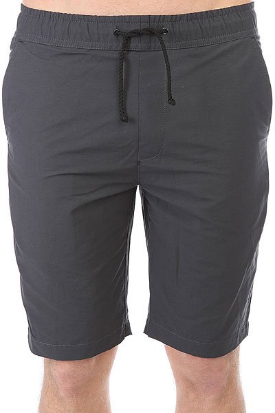 фото Шорты классические Anteater Simpleshorts Grey