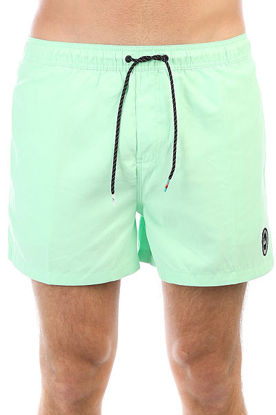 фото Шорты пляжные Quiksilver Everydvl15 Green Ash