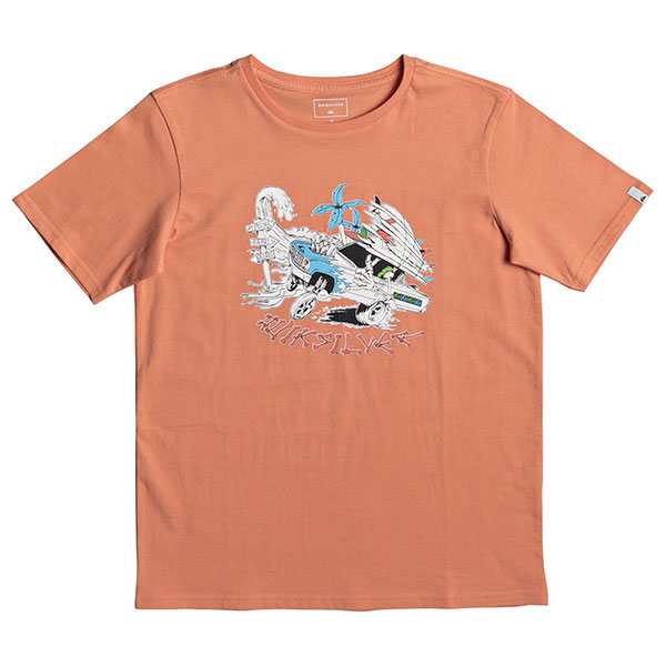 

Футболка детская Quiksilver Ss Days On Cadmium Orange