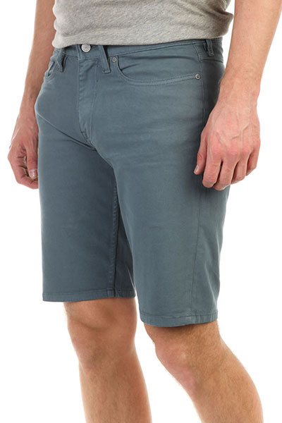 

Шорты классические DC Sumner Straight Blue Mirage