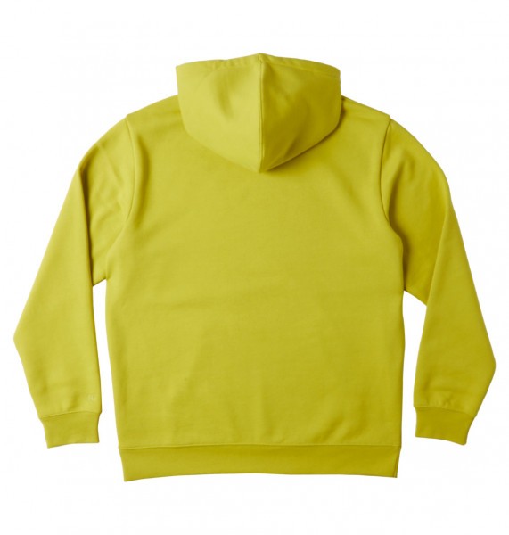 ���� DC 1995