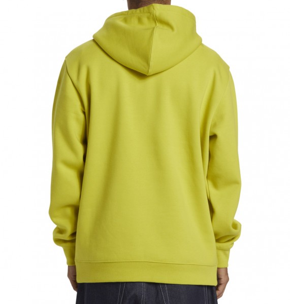 ���� DC 1995