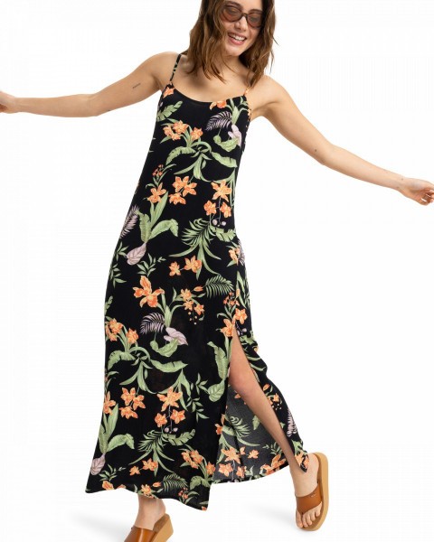 ������� ������� ������ Rainbow Shores