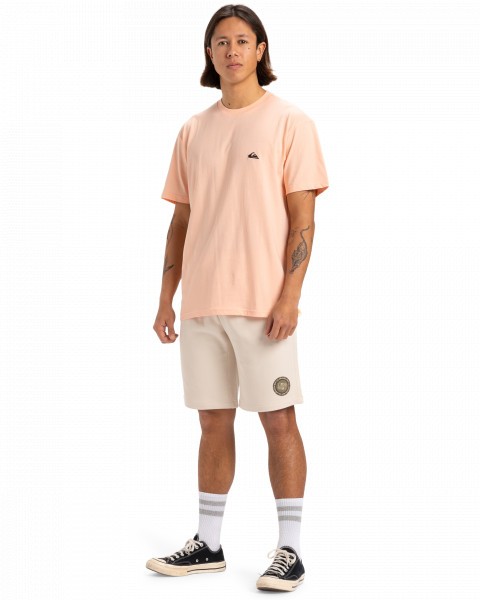  QUIKSILVER Circle Back Short