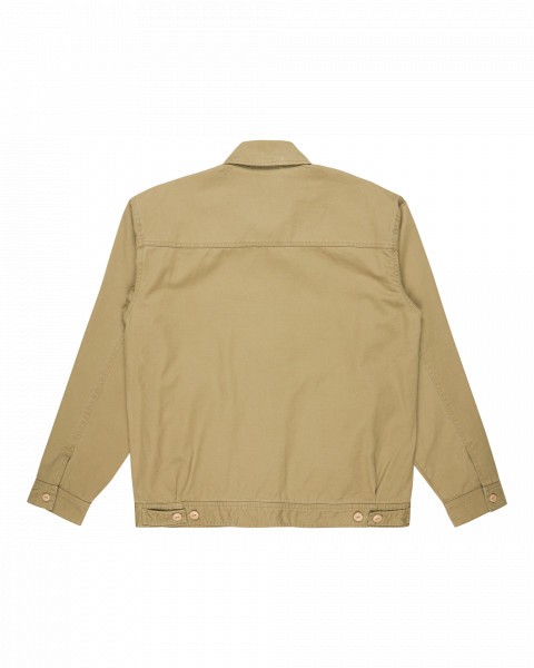 ������-������� DNA Surf