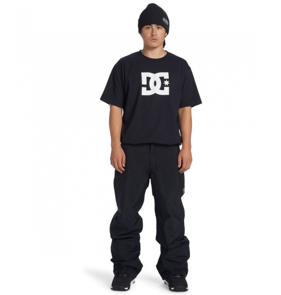 ��������������� ����� DC SNOW CHINO PANT (KVJ0)