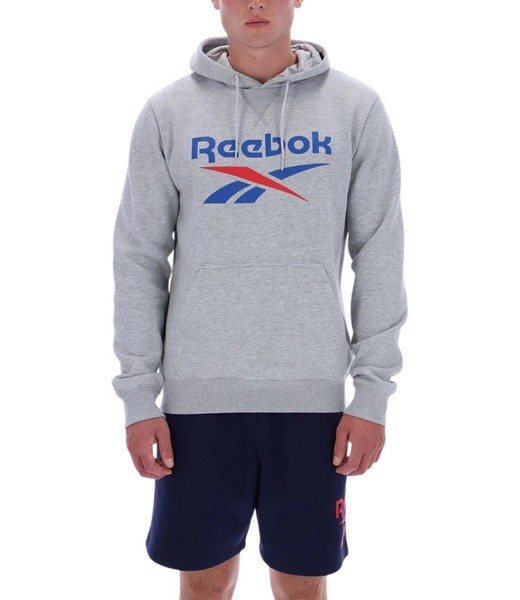 ���� TRENT 2 COL LOGO HOODY
