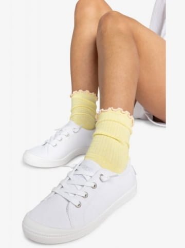 ������� ���� Bayshore Plus