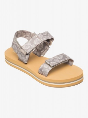 ������� �������� ROXY Cage