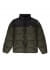    Alder Arctic Fundamental