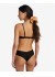 ������� ������ ������ Sol Searcher Fiji