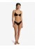������� ������ ������ Sol Searcher Fiji